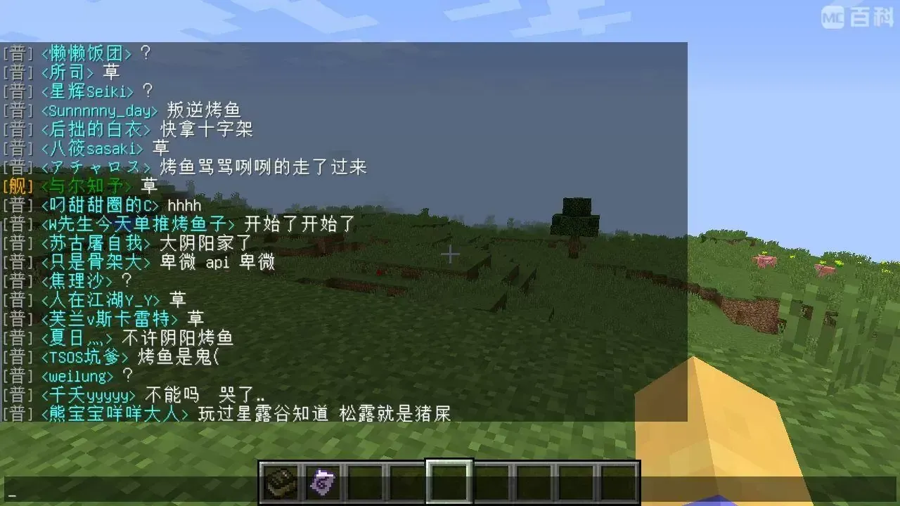 image.webp