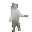 93ecf2f66df0c3f79b9a6bba8bc85c6e.gif