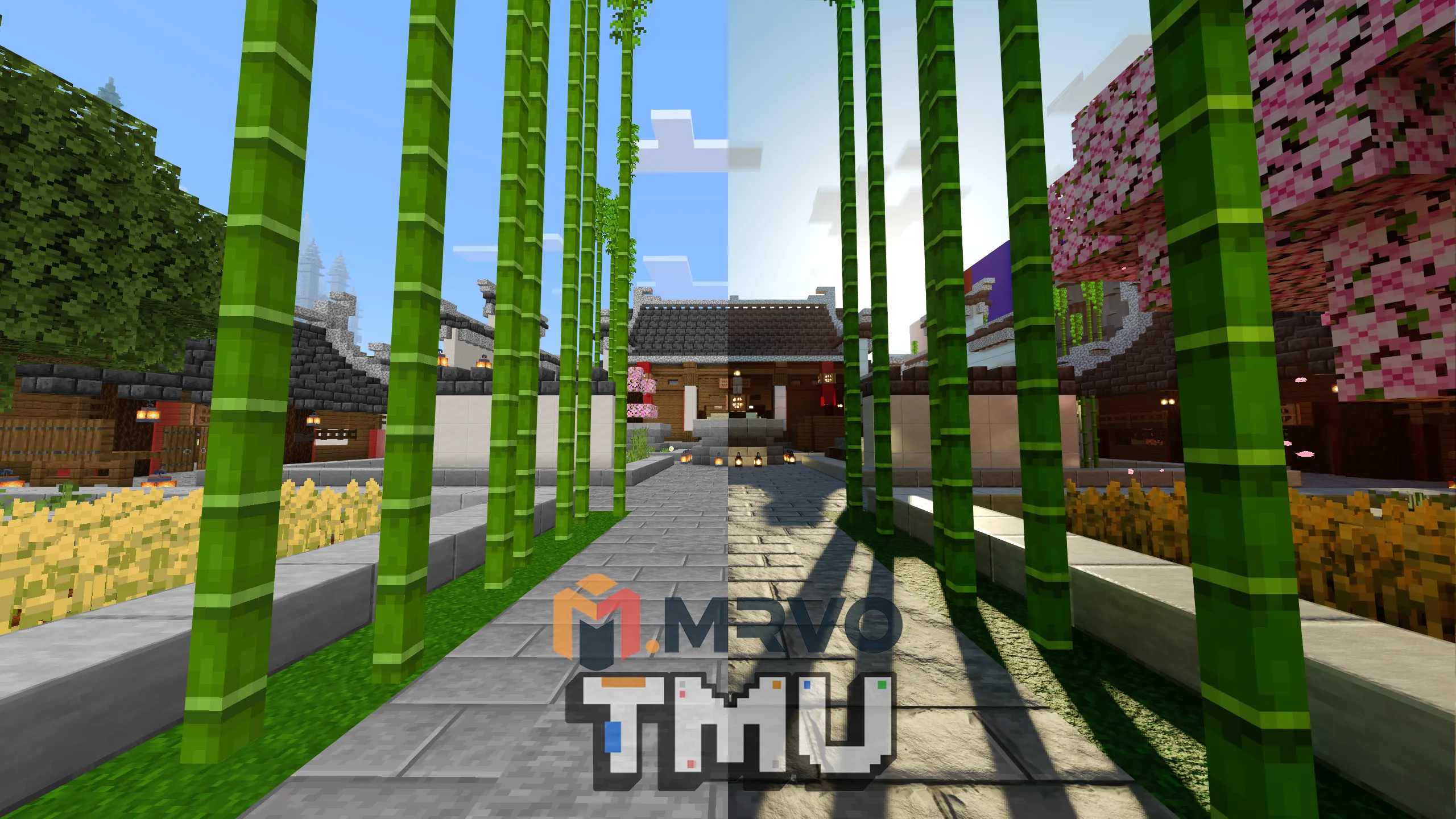 TMUty1.webp