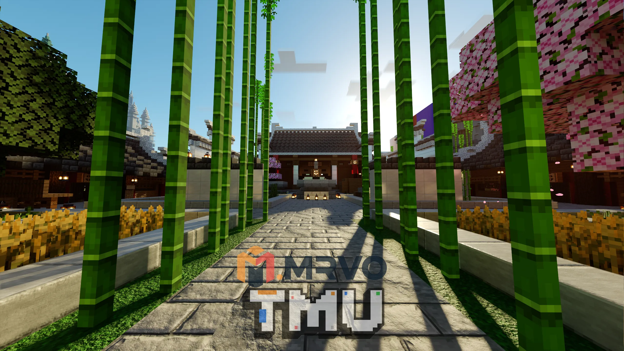 TMUty2.webp