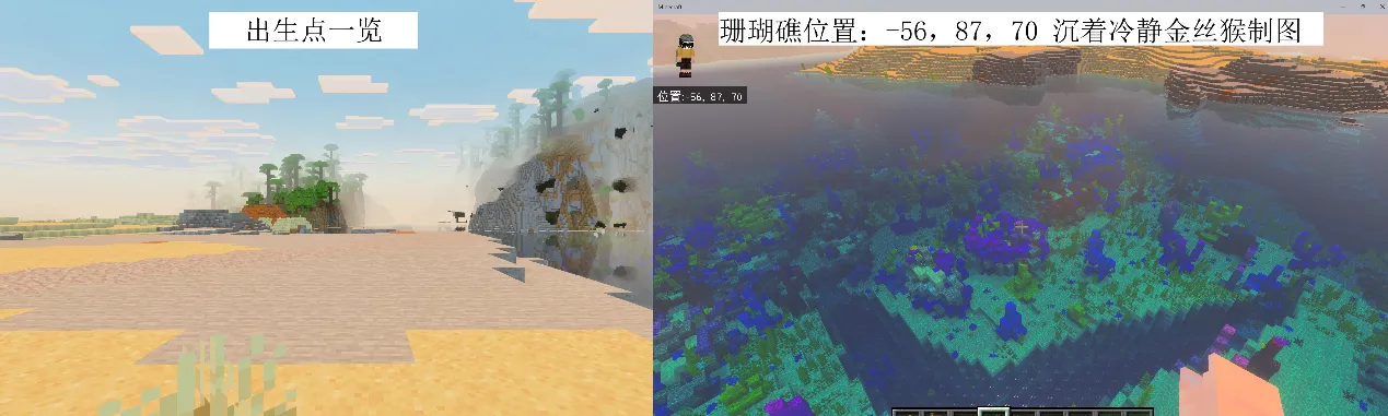 image2.webp