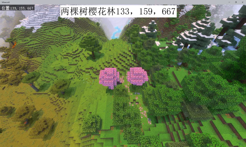 image10.webp