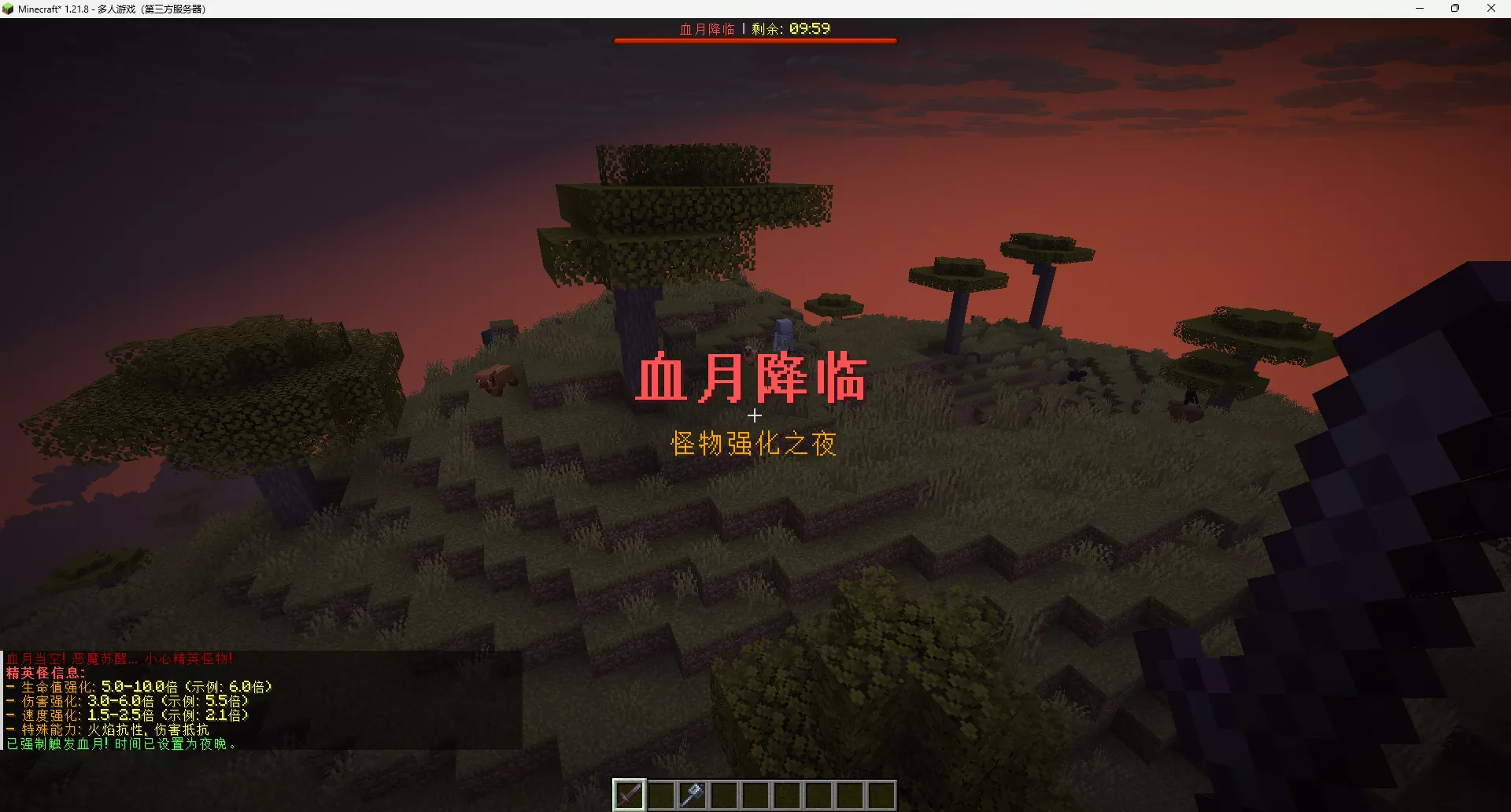 image.webp